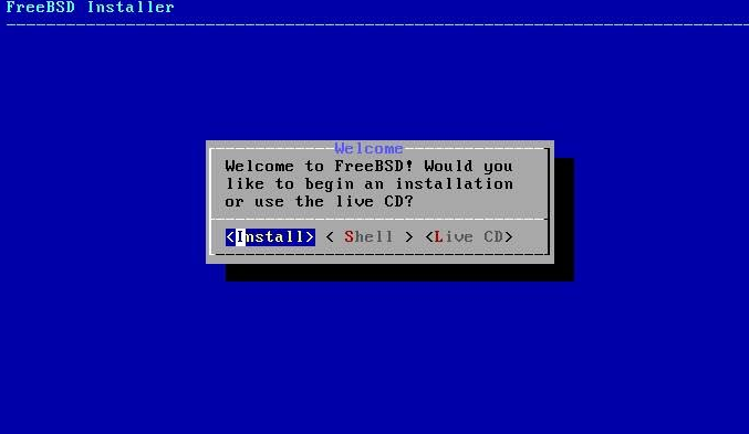 Tampilan Install FreeBSD