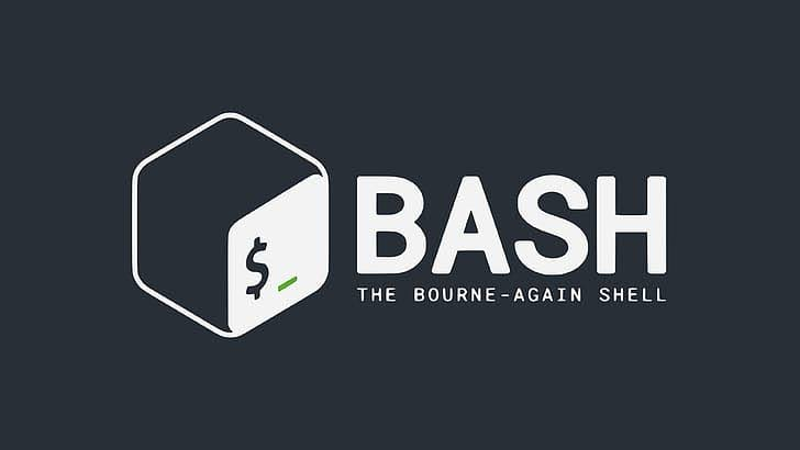 Contoh Terminal Bash pada Linux